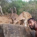 Tariq