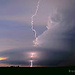 ROULIER