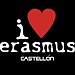 erasmus castellon
