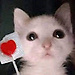 Nes