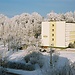 Untitled photo