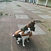 Leire Paredes