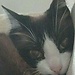 O