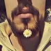Tommaso
