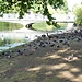 St. Jame's Park