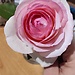 7546404c2fbb1964d6404aa9eb6acaed