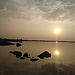 Prachi