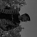 Fatih