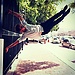 Andrey