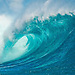 OceanPG