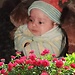 Nazia