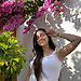 Catarina