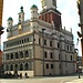 erasmus