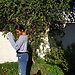 Selin