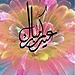 Hiba