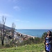 Fariya