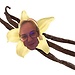 Vanille