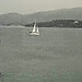 vassilis