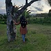 sammeda
