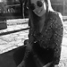 Inés Llorente