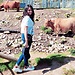 Divya