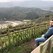 Pablo Checa