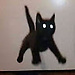 garrido_arrow