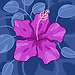 Flor Maria