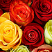Im 39 years old and im looking for accomadtion in Saarbrücken