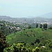 Untitled photo