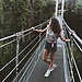 Estela
