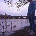 Ciro del