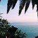 floriane day