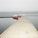 Untitled photo