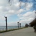 Meryan