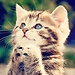 Bill