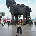 20 year old Erasmus student looking for accommodation in Budapest