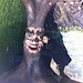 Navdeep