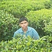 Amar