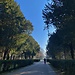 Karlsruhe