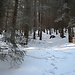 A one day hiking trip to Șaua Strunga (almost)