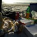 A Day on the Beach 