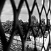 A la découverte de la mode a milan