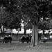 A la découverte de la mode a milan