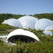 The Eden Project