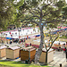 A Park in the Center of Lisbon
