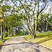 A Park in the Center of Lisbon