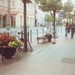 Gediminas Avenue
