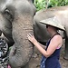 A Southeast Asian journey while uni is out.  Part Eight: Elephan