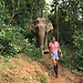 A Southeast Asian journey while uni is out.  Part Eight: Elephan
